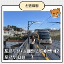 신혼여행] 2일차(1) 포르투 시내 일정 추천/상벤투역, 포르투 시청사, 유람선 후기/에그타르트 추천