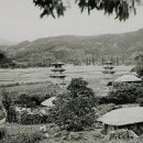 감은사 - 1950년대 북동쪽에서 바라본 모습. 이미지