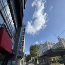 연세허브가정의학과의원 | [연세서울비뇨의학과의원]교대 비뇨기과 추천, 교대역 병원 추천, 방광염 병원, 서초 병원 후기 주차가능