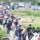 당진3동 이팝나무 이미지