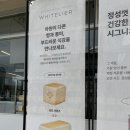 화이트리에 후기 / 화이트리에 반포 본점
