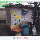 내곡동281 이미지