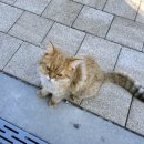 화성시 매송 오토캠핑장 이미지