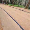 서광사 등산로 이미지