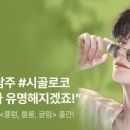 글림(Gleam)