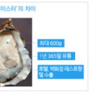 씨에버주식회사 네이버블로그