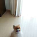 미화양품 - 고성군 성내로143번길 3 | 미화양품