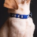 조원동-3 이미지