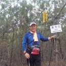 꽃비를 맞으며 집으로 가는길! - 안동 둔지산(405.2m)~매봉산(256.1m)~대수골산(302.9m)~포대산(319m) 이미지