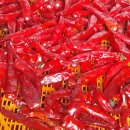 규성농장 이미지