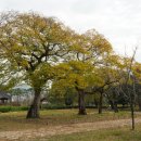 유정가든 이미지