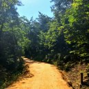 물무산행복숲둘레길 | 전남 영광 물무산 행복숲 맨발 황톳길 걷기(세 번째)