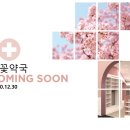 벚꽃약국 이미지