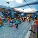 오투아일랜드 이미지