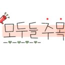 리안헤어동탄영천11자 네이버블로그