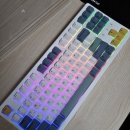 MAX컴퓨터 | 내돈내산 한성컴퓨터 키보드 구매 후기 (TFG Cloud Max CL)