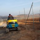 신암면035 이미지