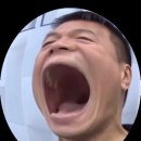 엘피여행 이미지