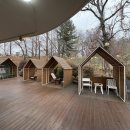 쌍방울애견 이미지