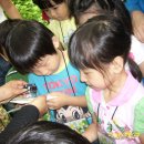 삼성열린생태 어린이집 이미지