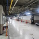 피자몰 뉴코아 부천점 | [부천 맛집] 피자몰 뉴코아 부천점 평일 런치 내돈내산 솔직후기