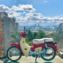 승용슈퍼 이미지