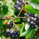 재철농장 이미지