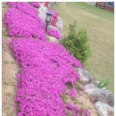 금강지매펜션 이미지