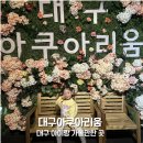 [동구샘터]성인 유리 공예 | 대구 아이랑갈만한곳 대구아쿠아리움 실내 관광지 찐후기(36개월 미만 무료)