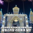 뉴골드프라자 | 모나용평 리조트 스키 보드 리프트권 2만원 할인 링크 공유 겨울 강원도여행