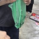 바다식품 - 태안군 신진대교길 11-6 | 서울에서 이걸?! 가락시장 고등어회 맛도리 바다나라 포장 후기