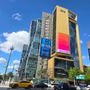 그린몰의원 이미지