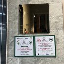 메리몽드 펫살롱 | [서울/낙성대] 포메 애견미용은 “메리몽드펫살롱”🐻‍❄️🤍