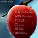 파라다이스B 이미지