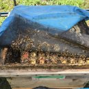 사양농장 이미지