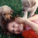 소노펫 보딩 이미지