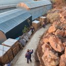 신효동-12 이미지