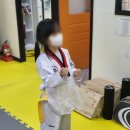 경이로운 태권도 이미지