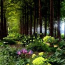 사진교실 이미지