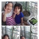 혜림이네