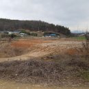 동강면사무소기타 이미지