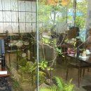 상무참약국 이미지