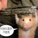 클림의원 | 홍대입구역, 클림의원 줄기세포 엑서밋+타겟쿨 침투관리 후기 바리바리 가져왔어요 어서와봐요