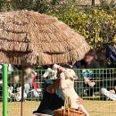 루카농장 이미지