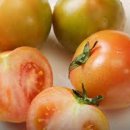 토마토휘트니스 이미지