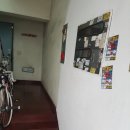 에이스게임장 이미지