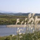 성림농원 이미지