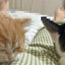 희민농장 이미지