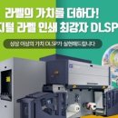 DLSP(디엘에스피)