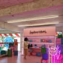 베베앙드레 이미지